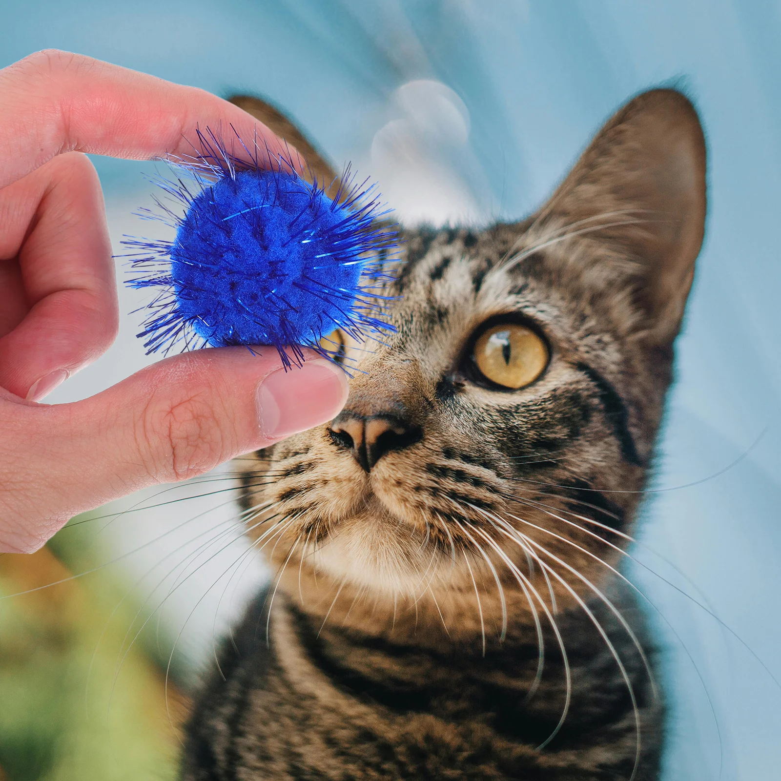 

60pcs Interactive Set Tinsel Glitter Pom Pom Balls For Kitten Play Indoor Cat Entertainment Balls - Durable Cat Bundle For