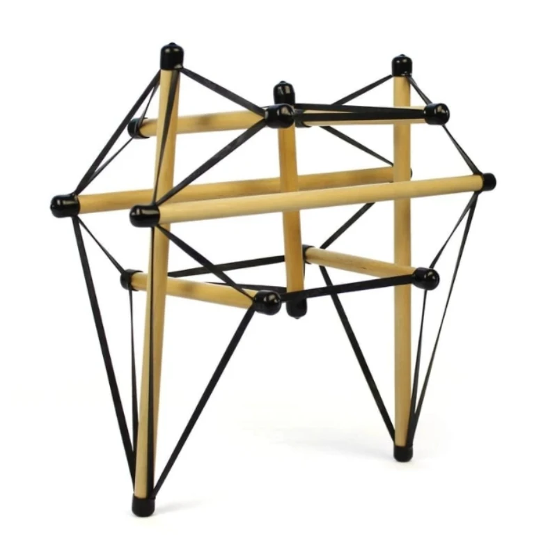 Anatomy Trains Pelvic Tensegrity Model  Fascial Rehabilitation Demo Tool for Structural Integration Training