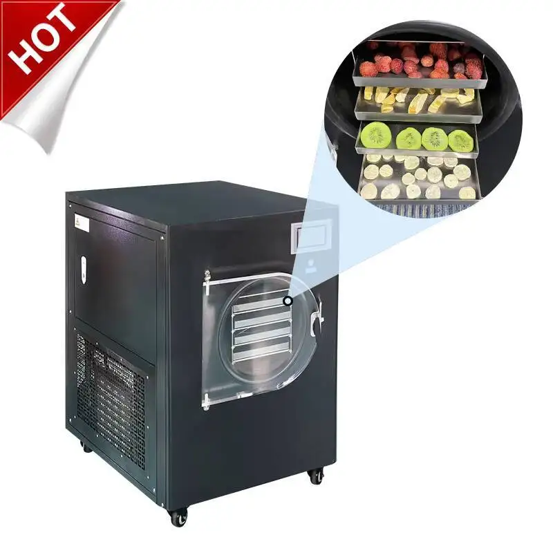 

3Kg 6Kg 10Kg Fruit Liofilizador Hine Price Small Mini Laboratory Vacuum Drying Equipment Home Food Freeze Dryer
