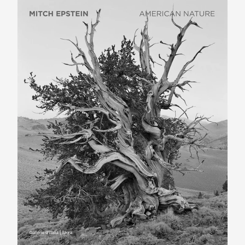 

Mitch Epstein American Nature Brian Wallis Skira Editore 9788857253121 Book