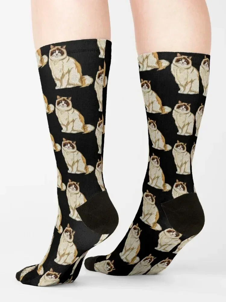 جوارب قطة دوول جوارب رياضية هدية مضحكة جوارب مجنونة للرجال والنساء