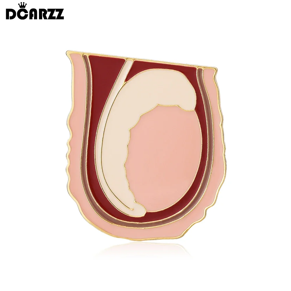 DCARZZ Testicular Anatomy Enamel Brooch Medical Jewelry Andrology Biology Pin Doctor Nurse Backpack Lapel Badge Accessories