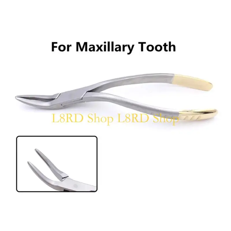 l8rd-16-センチメートル歯科残根抽出鉗子ピンセット使いやすいペンチ