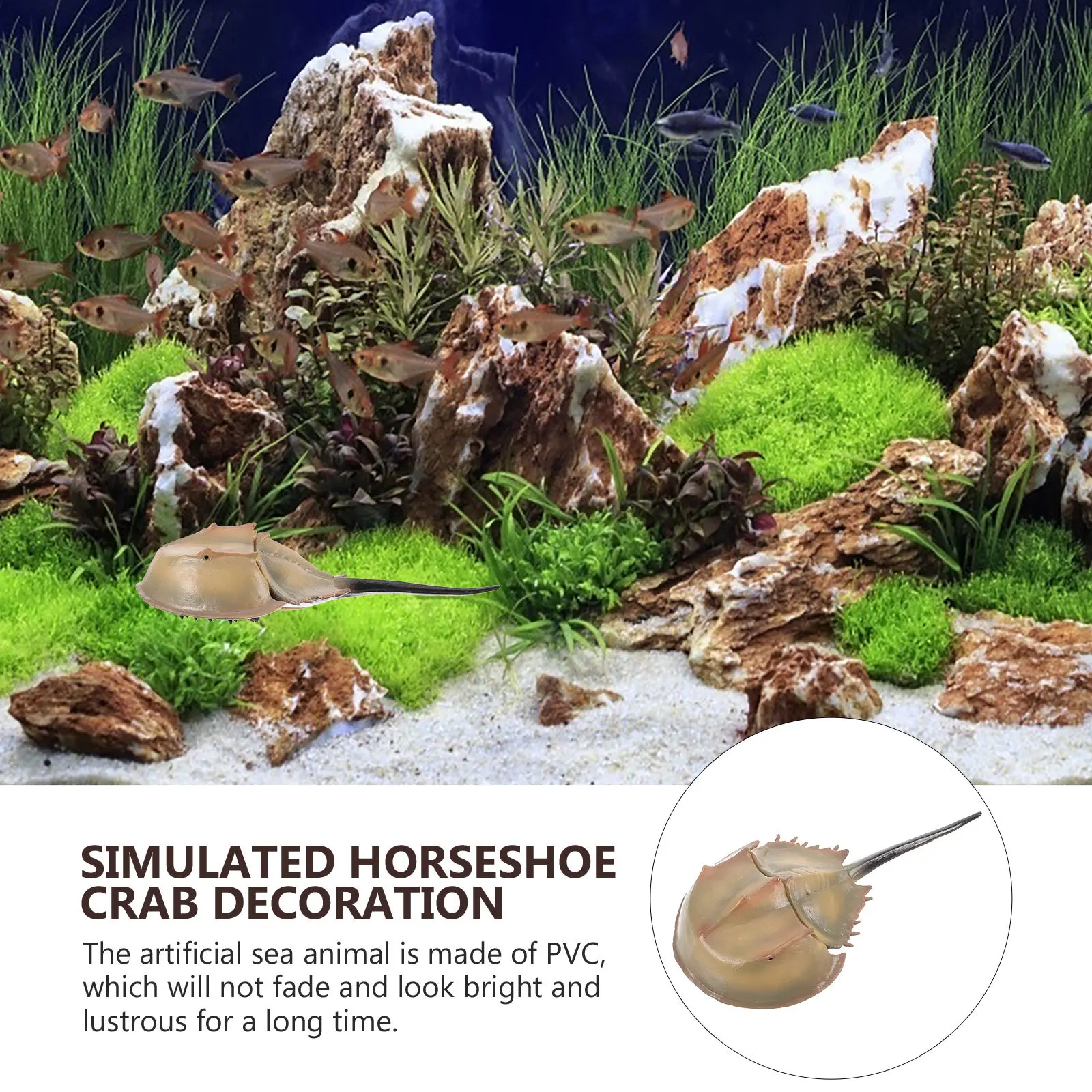 

Simulation Horseshoe Crab Decor Artificial Sea Animal Lifelike Fish Prop For Display Photography Party Scene Fake Fish Ornament