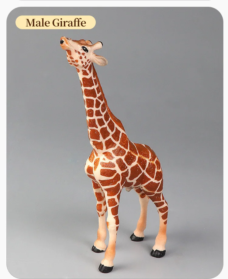 African Wildlife World Giraffe Set – Lernspielzeug mit Tiermodellen, Actionfiguren für Kinder, Simulations-Lernspielzeug – Detail 5