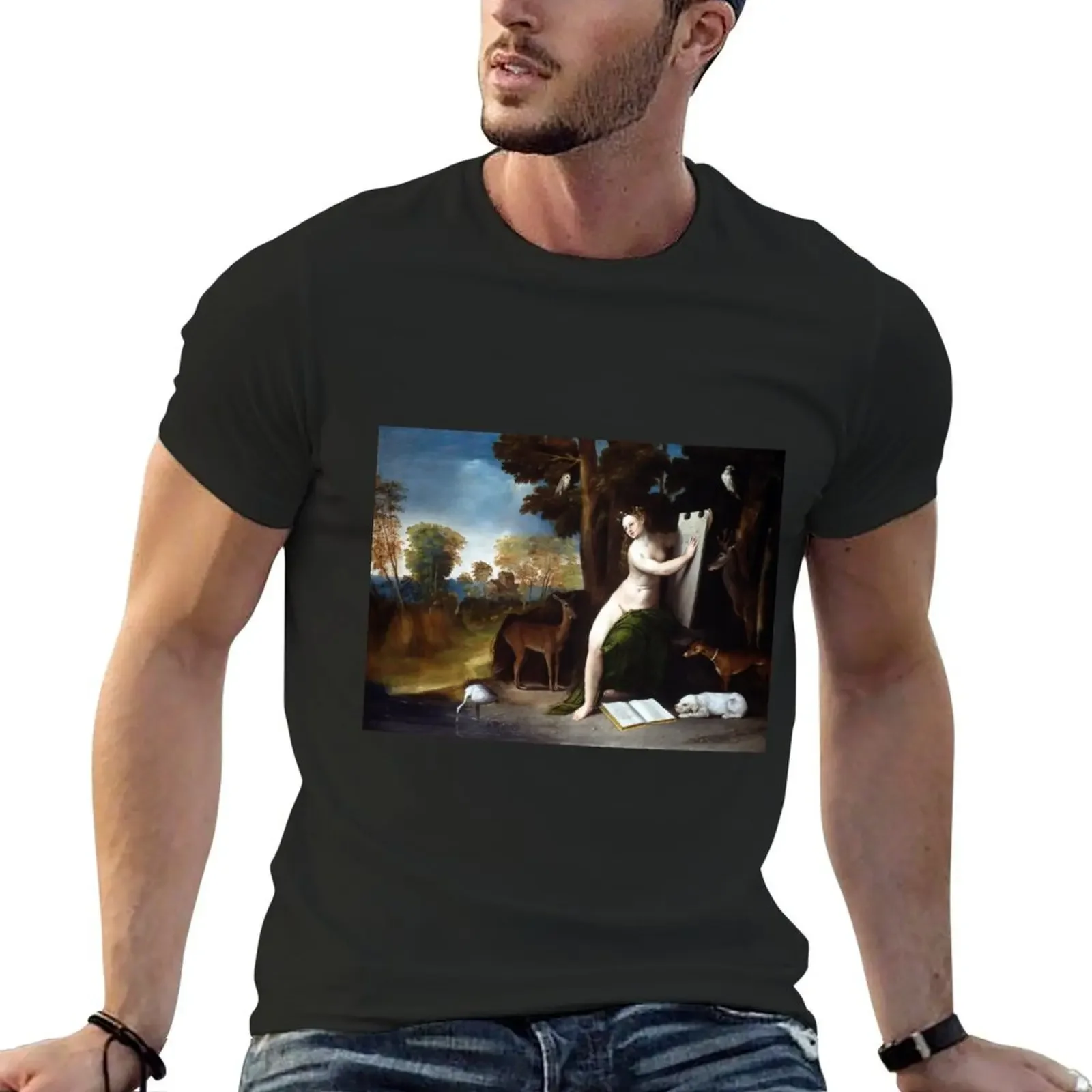 Dosso Dossi Circe and her Lovers in a Landscape T-Shirt street wear quick drying anime heavy weight t shirts for men