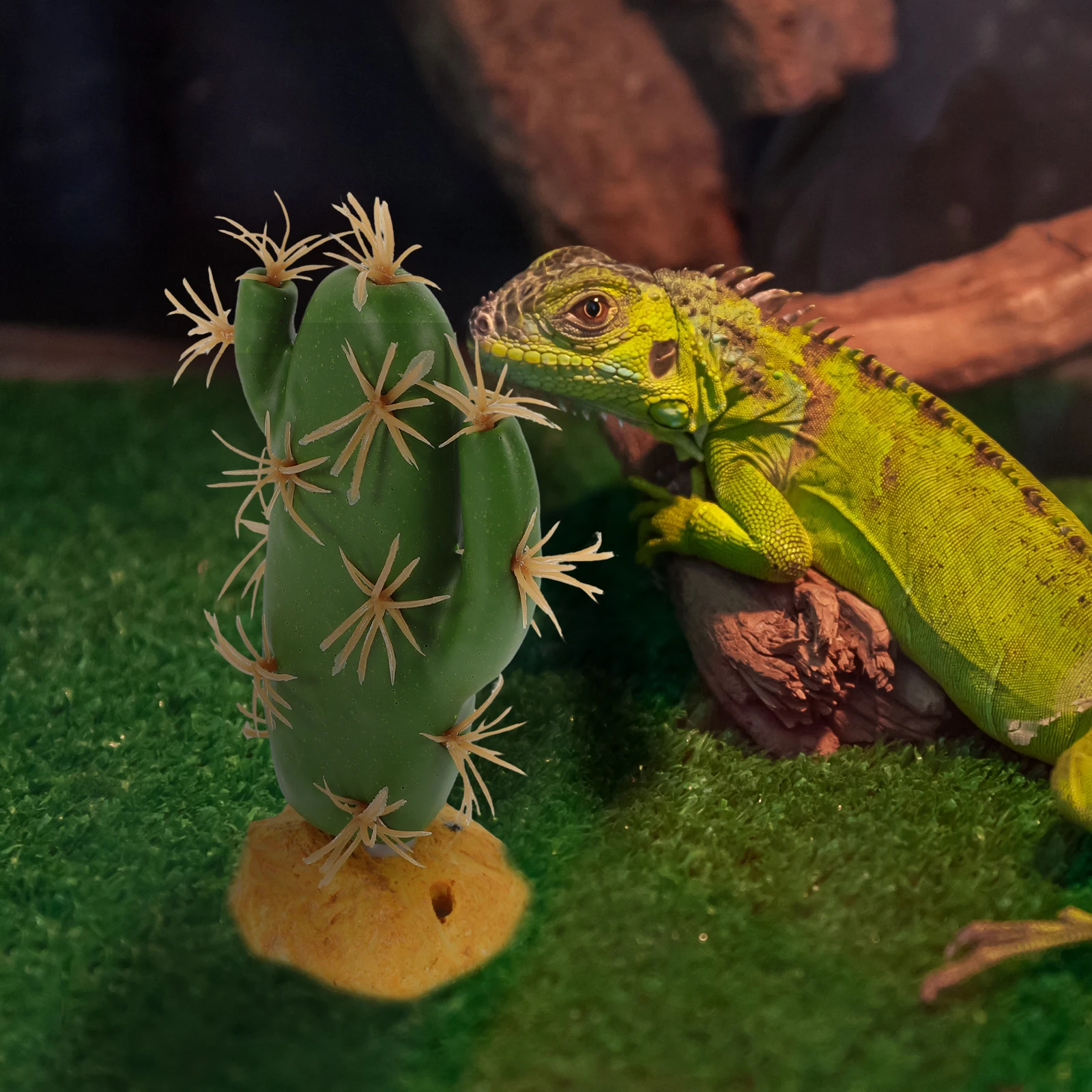 

Artificial Cactus Plant Reptile nament Decorative Plants Terrarium Habitat Safe Hide Place Plastic Resin Material Tank