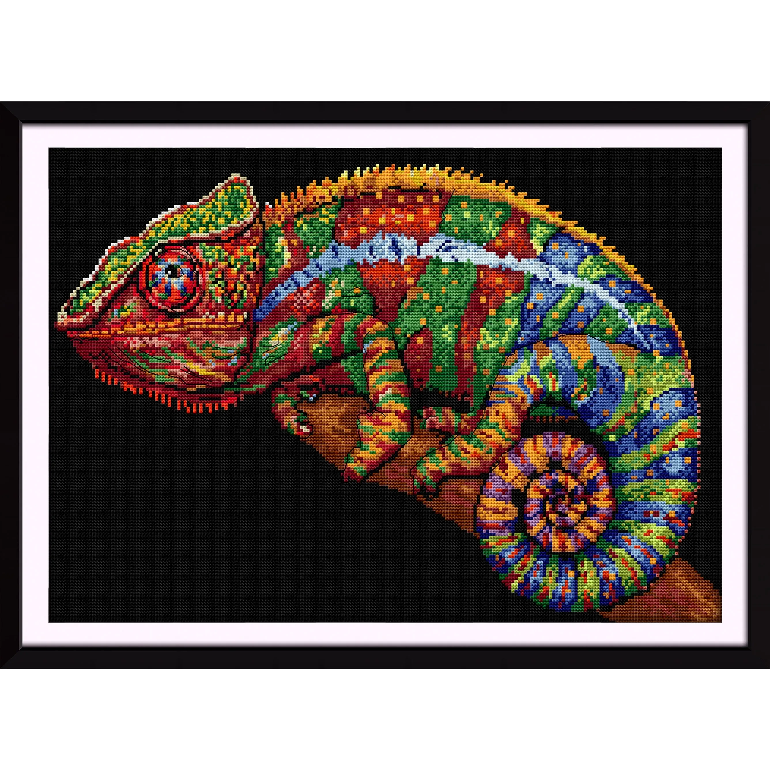 Soulgift News Pre-Printed Cross Stitch Kit, Stamped Aida Fabric with DMC Threads, Embroidery Kit - Chameleon
