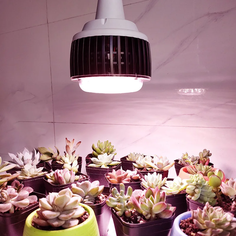 LED Fin Plant Light Succulent Fill Light Flower Potted Seedling Plant High Power Fill Light