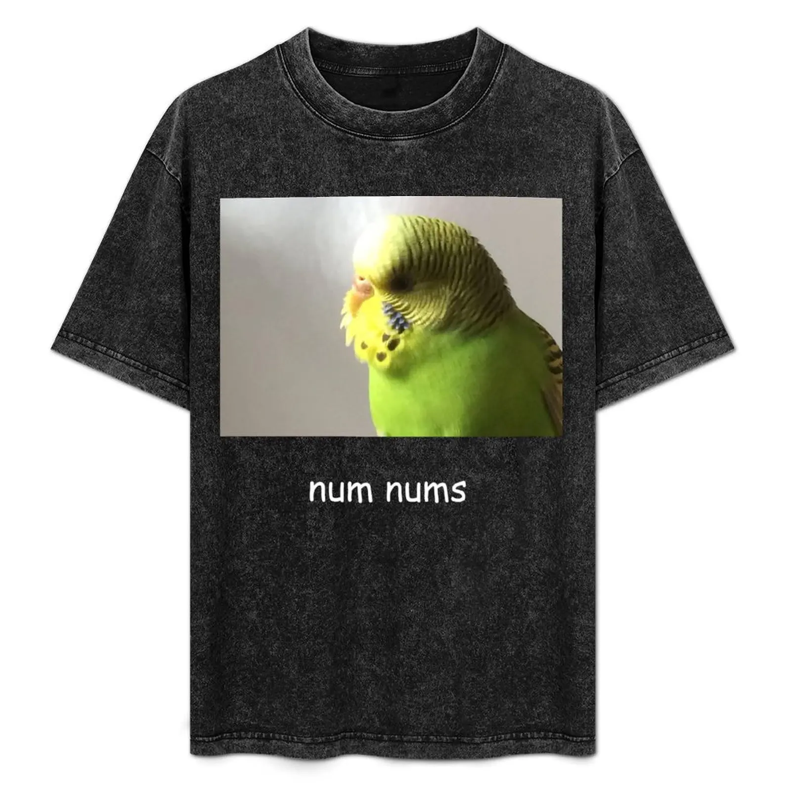 

bird T-Shirt UV Protection Outdoor Tee Shirt