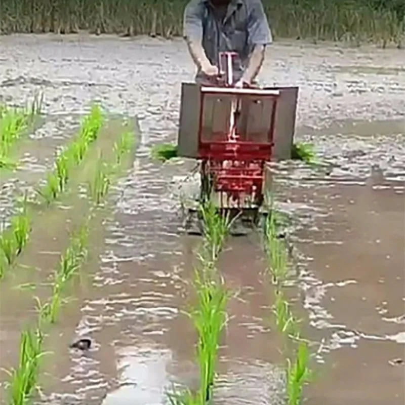 2 columns adjustable spacing manual hand rice transplanter rice field transplanter
