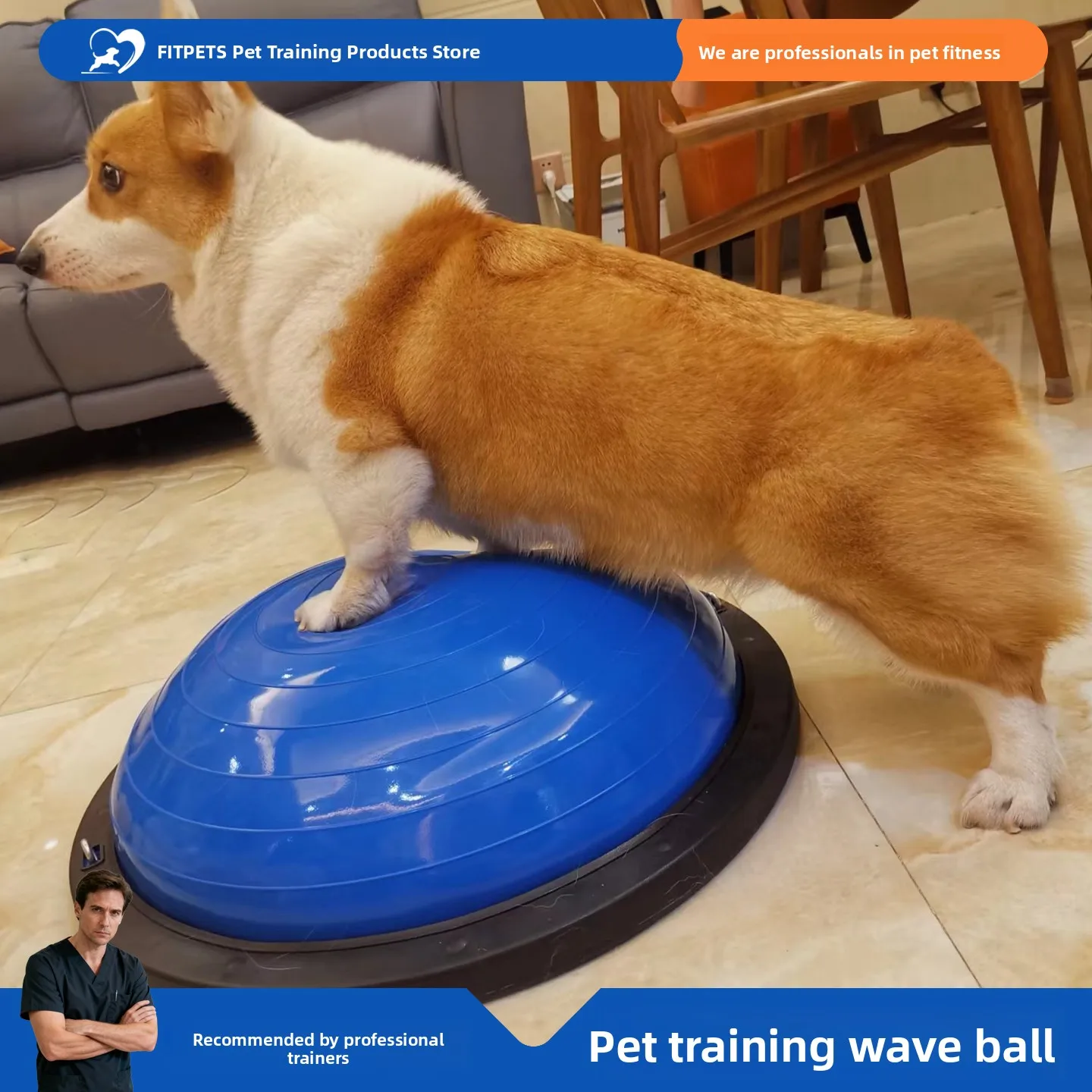 

Игрушка для собак: восстановление после операции на тазобедренном суставе, тренировка мышц, реабилитация после травм задних конечностей, для корги