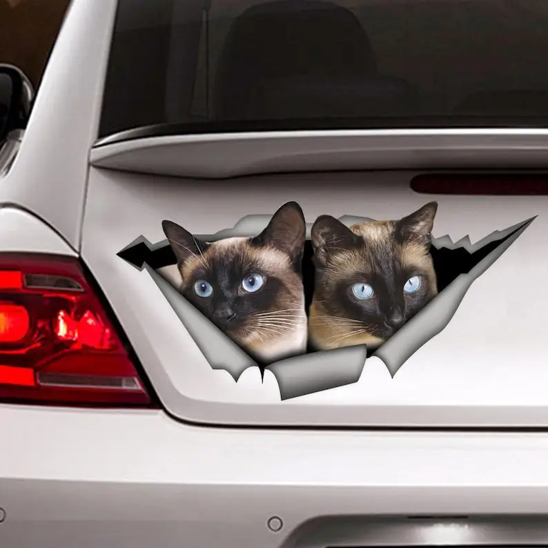 Siamese cat magnet , Siamese cat car decal, cat car sticker,cat sticker