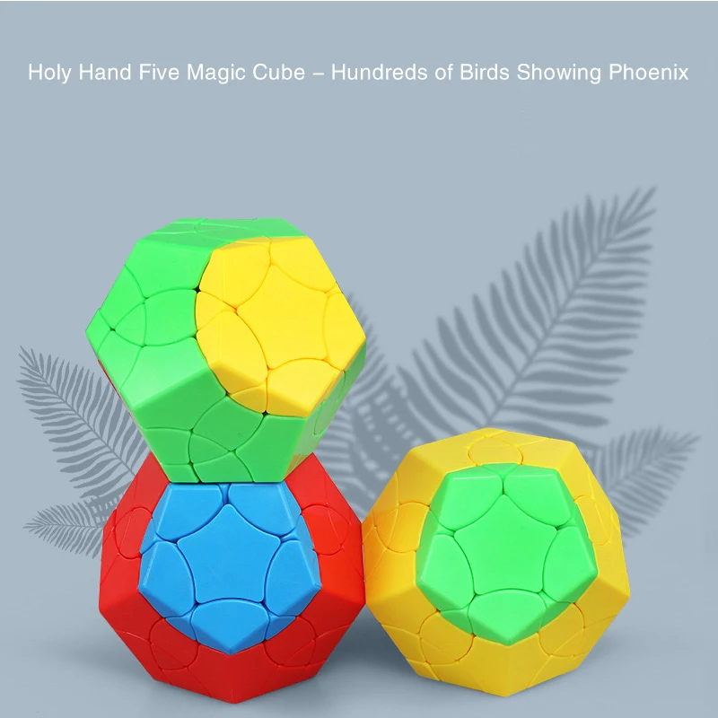 Magiczna kostka Stickerless 5x5 Dodecahedron zawód magiczna Puzzle do układania na czas 12 twarz Megaminx magiczna zabawka Cubo dzieci edukacyjne zabawki