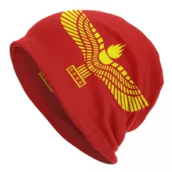 Custom Flag Of Aramean Syriac Skullies Beanies Caps Hip Hop Winter Warm Women Knit Hat Adult Unisex Aramaic Proud Bonnet Hats