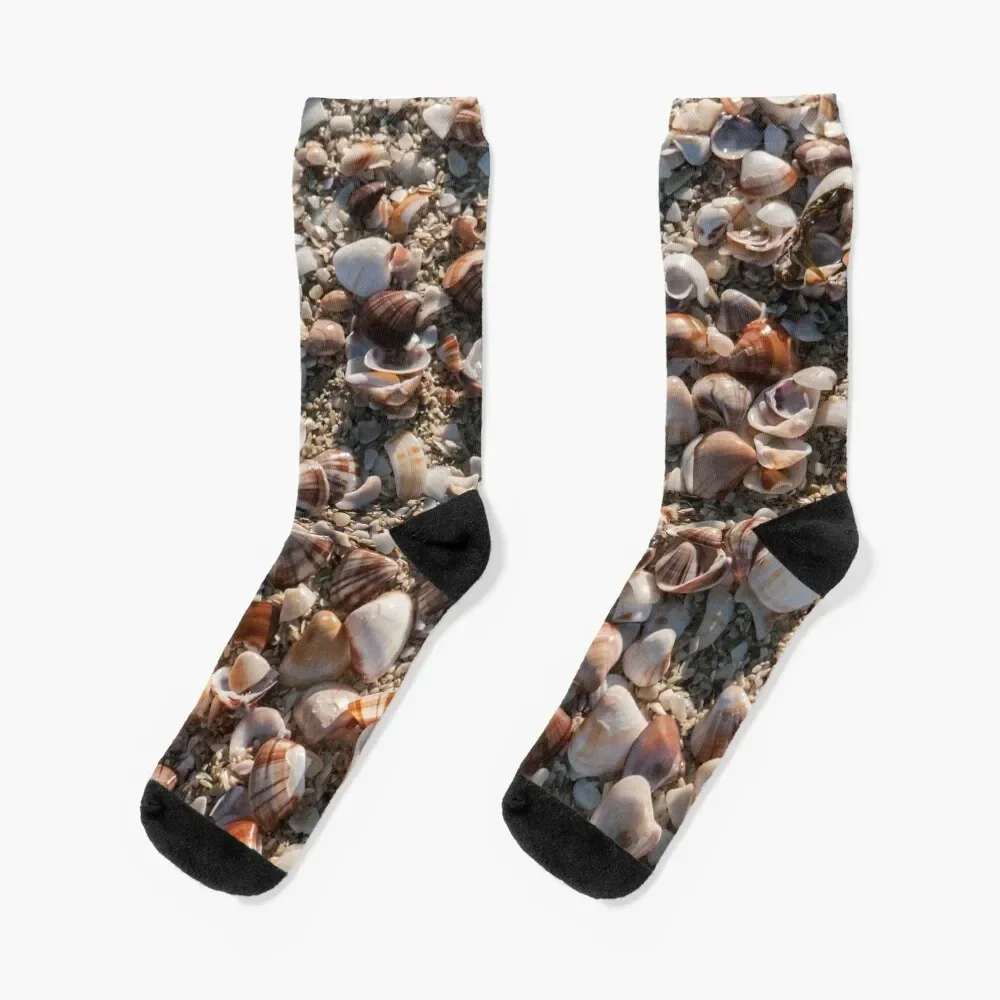 Seashells from Sanibel Island Florida Socks Thermal man winter men cotton high quality golf gift Socks For Men Women's