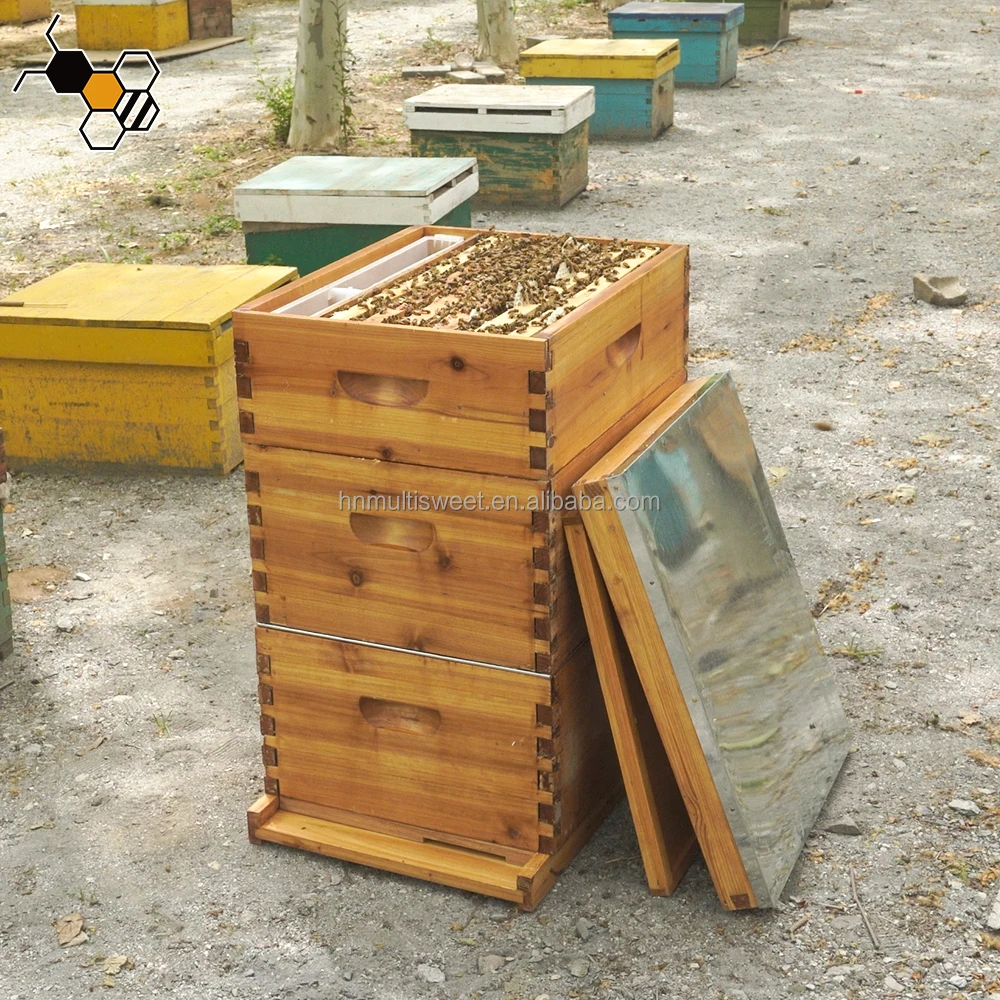 RTS 3 Layers Wax Coated Langstroth Beehive 10 Frame Complete Honey Bee Hive Box Kit for Bees