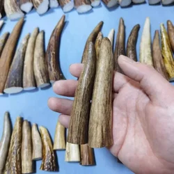 Real Deer Horn Tip Carving Material Solid High Density Knife Handle DIY Crafts Raw Materials Statues for Decoration Sculpture