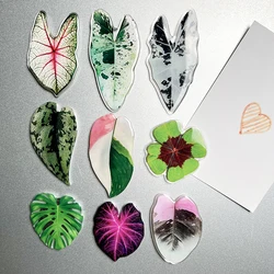 9Pcs Lovely leaf Green plant refrigerator magnet Kitchen decoration beautiful tiles Whiteboard Magnets Sticker