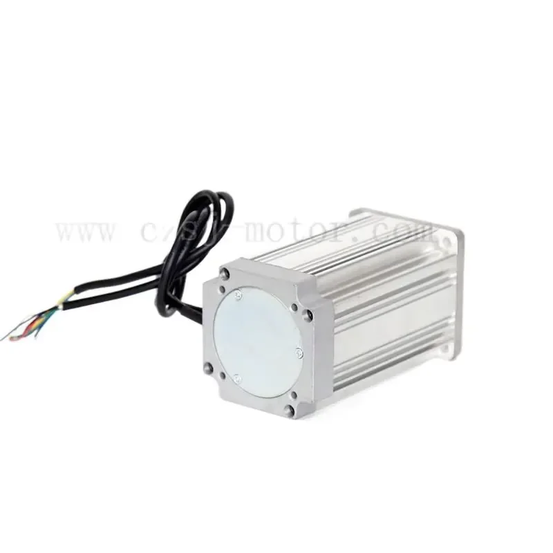 3 Phase 100W 48V CE Certified Permanent Magnet Brushless DC Motor for Boat/ Smart Home/ Fan