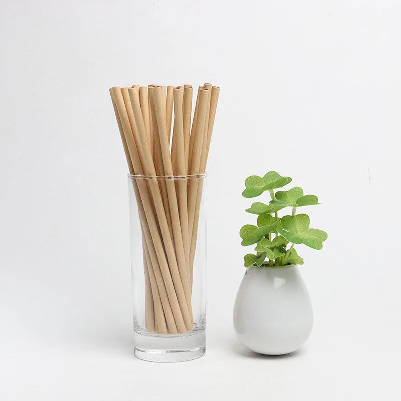 

100 Pcs Bulk 6*197MM Brown Blowholes Milkshake Size Eco-Friendly, Long-Lasting Paper Straws