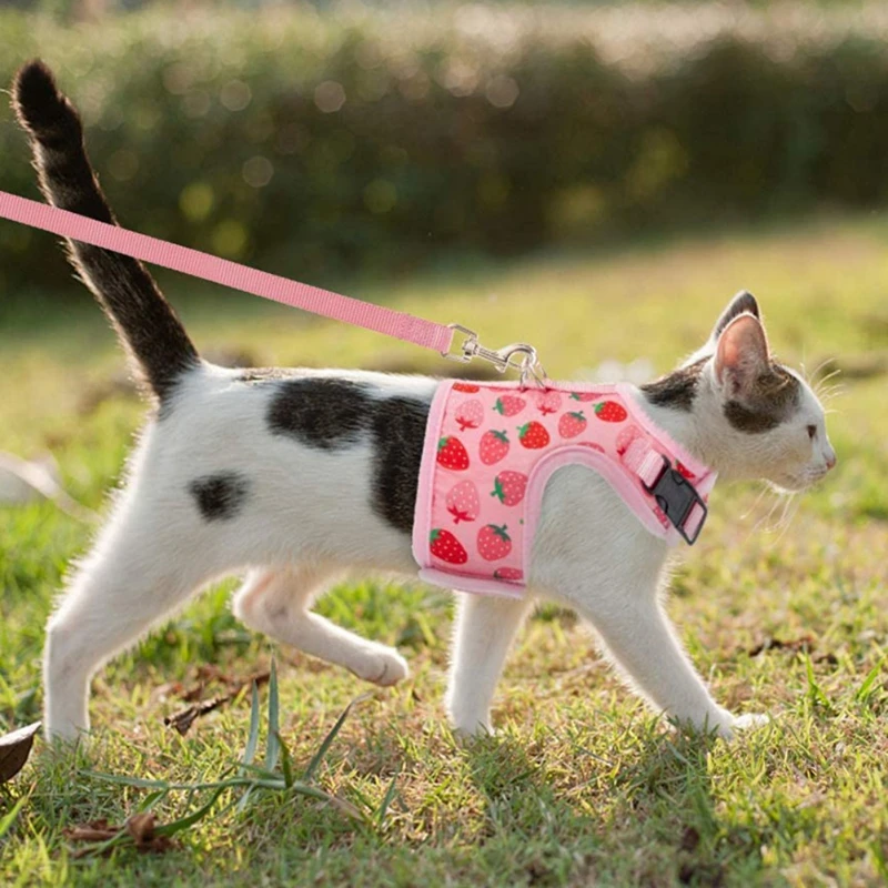 Cat Harness and Leash Set Safe Adjustable Kitten Vest Harnesses Cute Pink Breathable Mesh Jacket Easy Control for Puppy Walking