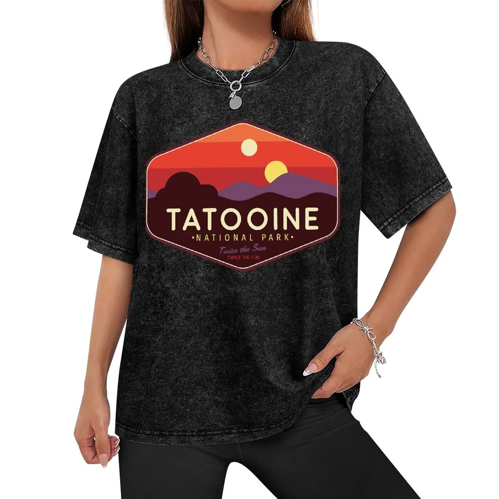 Tatooine National Park Twice the Fun Twice the Fun! Classic T-Shirt blue archive mens graphic t-shirts pack