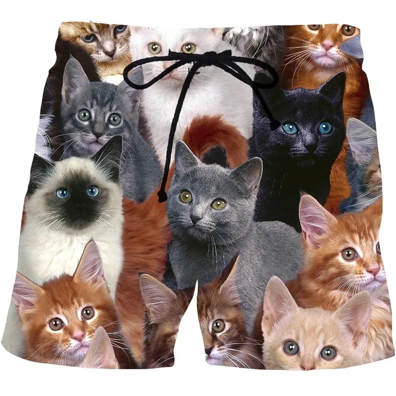 Shorts de bain à séchage rapide pour hommes, pantalons de plage décontractés, motif de chats mignons, impression 3D, vêtements tendance, été