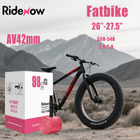 RideNow Beach Bike Snow Bike Inner Tube 20/24/26/27.5 Inch Ultra - Light Cycling TPU Tube American Valve 42mm MTB Fatbike Parts