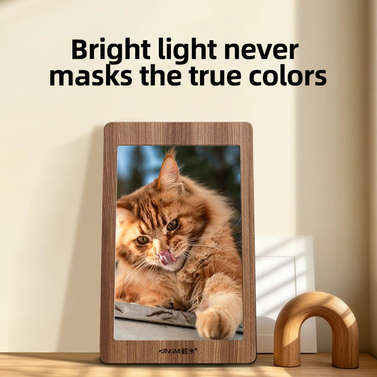 3D Digital Photo Frame 10.1