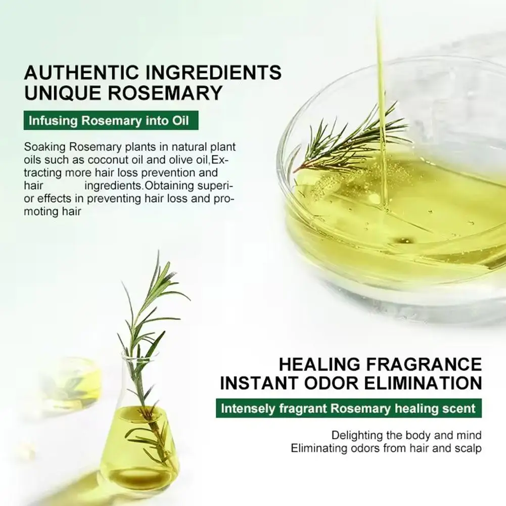 Rosemary Oil Hair Growth Products for Man Women Ginger Anti Hair Loss Fast Regrowth Thicken Oils Scalp Treatment Hair Care