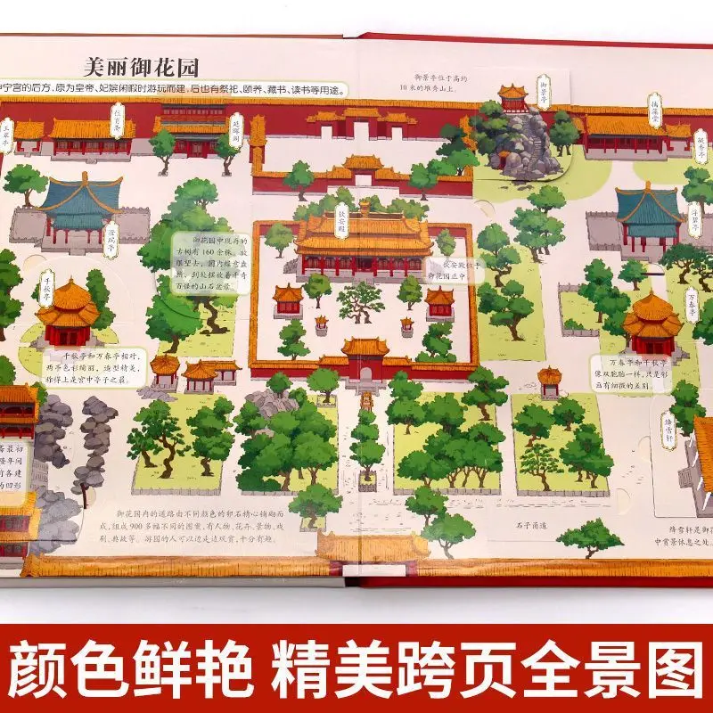 Desenvolvendo a Cidade Proibida, Livros 3D para Popularização das Ciências das Crianças, Derrubando Livros, Revelação do Meu Corpo