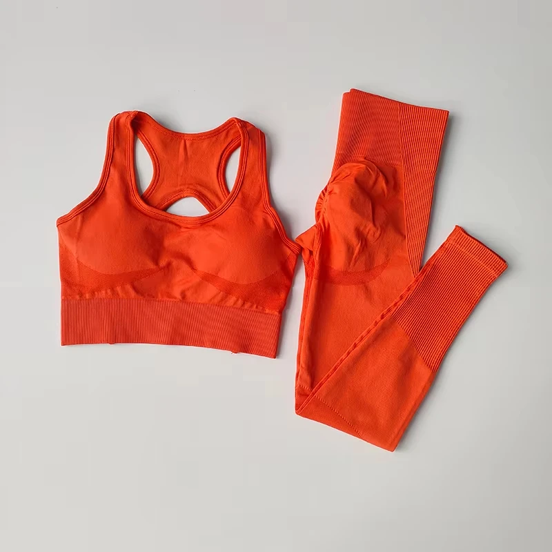 Conjunto de Sujetador deportivo para mujer, camiseta sin mangas profesional para Fitness, mallas para correr a prueba de golpes, traje de Yoga, ropa con sujetador trasero bonito, 2 uds.