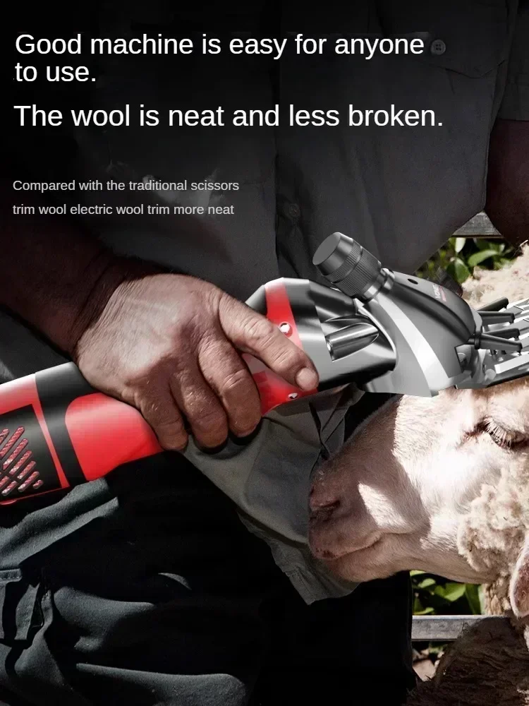 

Суперскоростные электрические машинки для стрижки овец 220 В для эффективной стрижки овец, мощной обрезки шерсти и непревзойденной производительности C