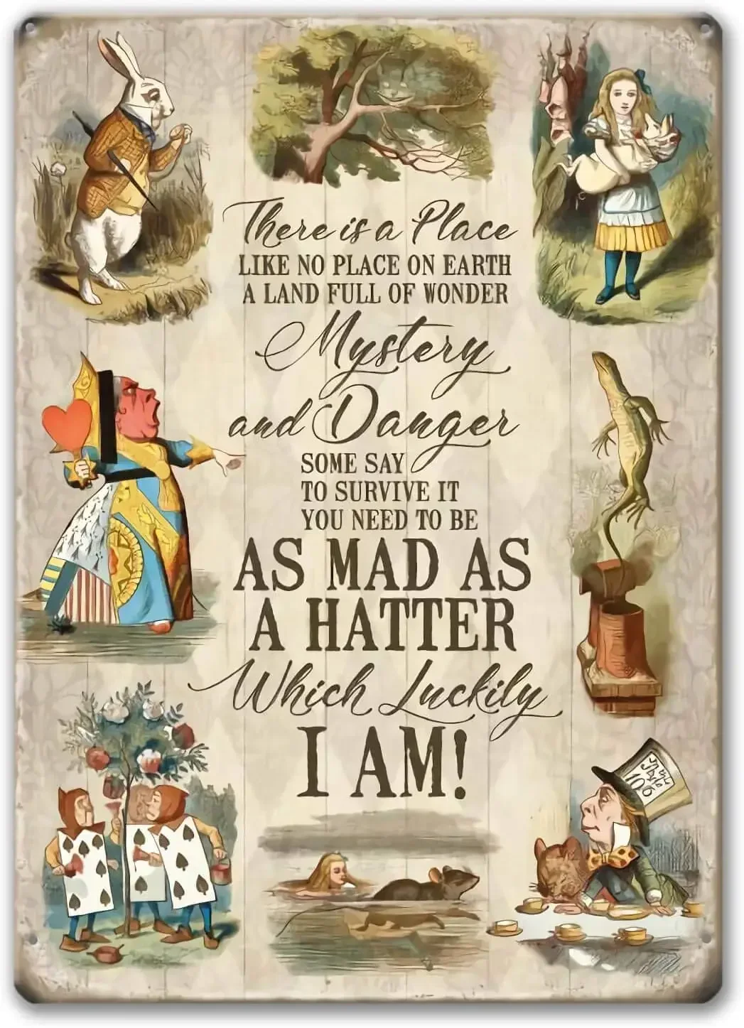 Agedsign Alice in Wonderland Poster, Vintage Metal Tin Sign There is a Place Quotes Decor Gifts for Girls Living Room Party D