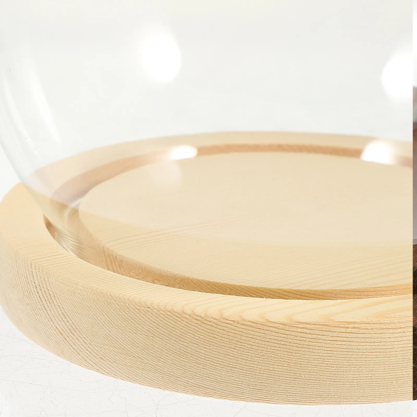 

Preserved Flower Glass Dome Transparent Glass Dome with Base Clear Display Case for Flower Aquarium Micro Landscape Decoration