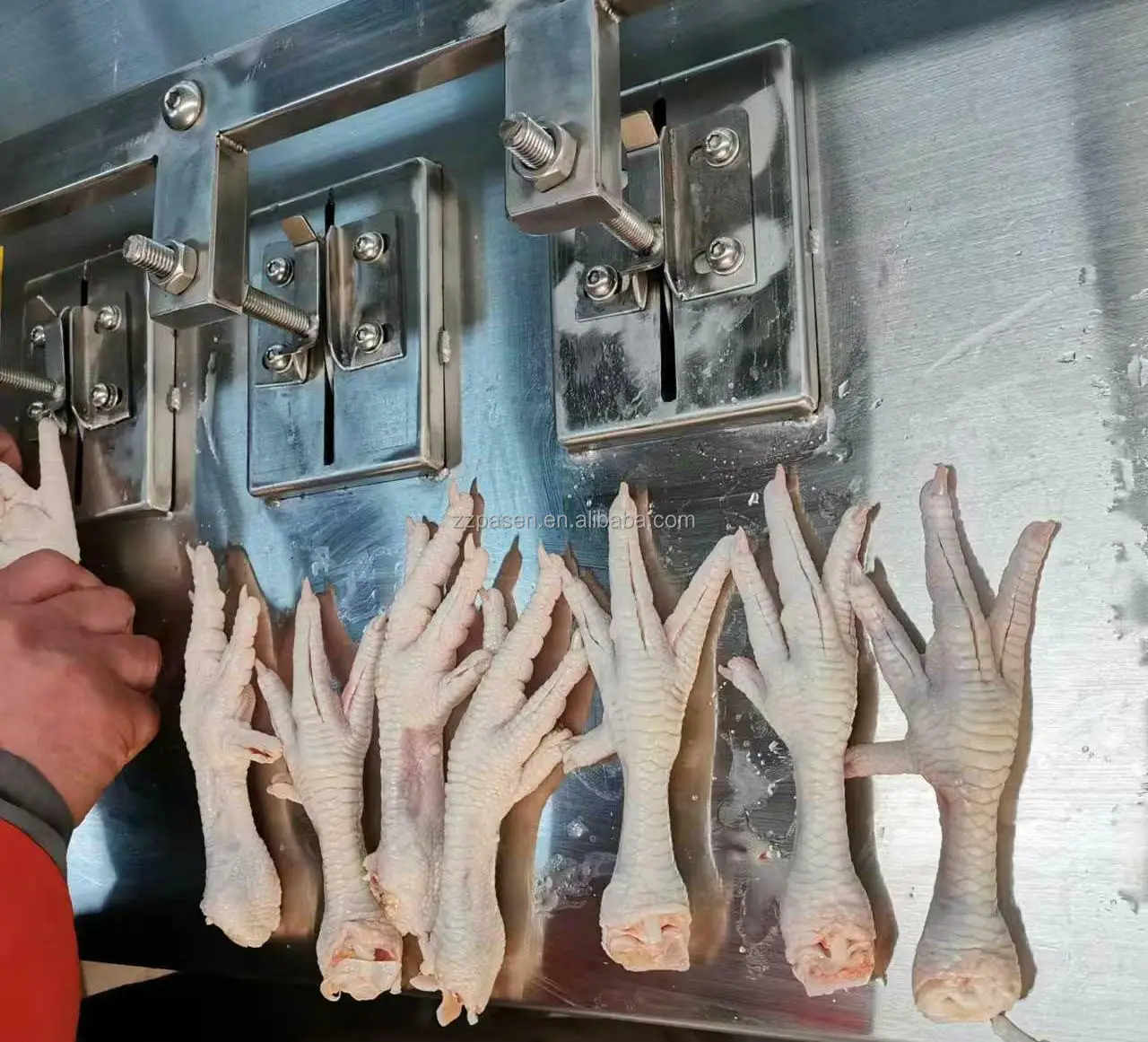 أقدام الدجاج القاطع العظم أقدام الدجاج الكفوف مخالب آلة إزالة آلة كفوف الدجاج آلة إزالة العظام #5