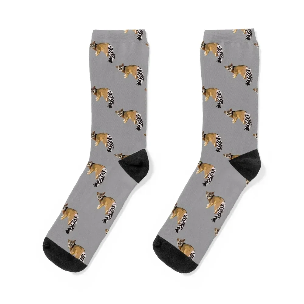 

R is for Ringtailed cat Socks football Antiskid soccer moving stockings Boy Socks Women's