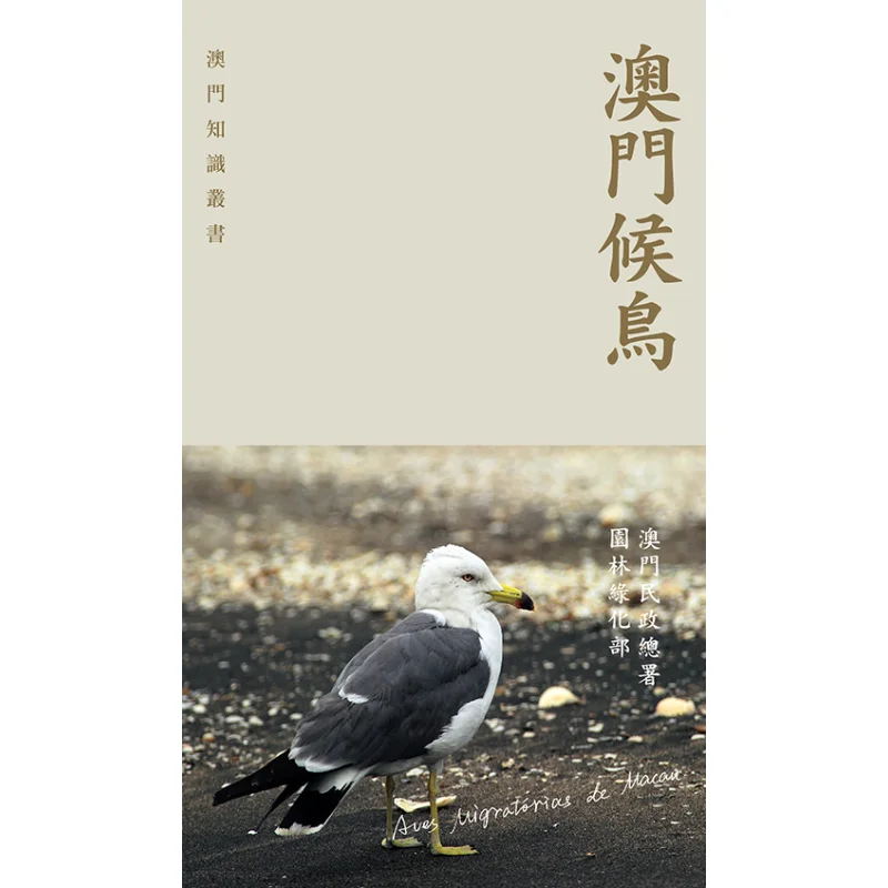 Migratory Birds In Macao Landscaping And Greening Of The Civic And Municipal Affairs Bureau Of Macao 9789620438349