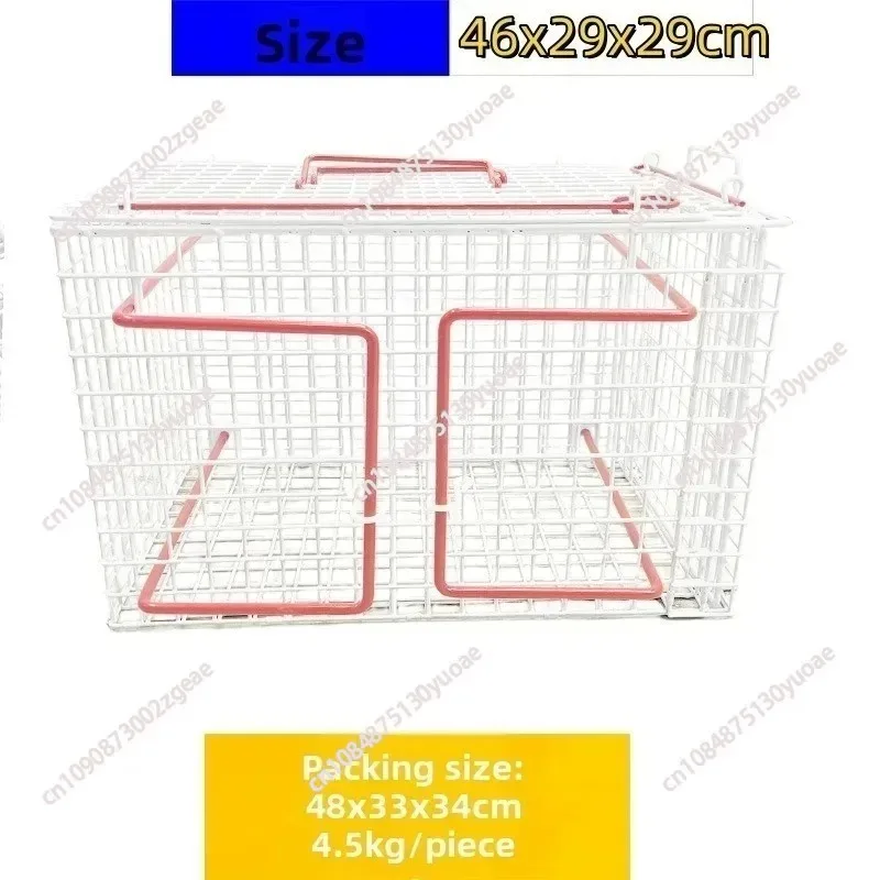 Thumbnail 4 - #83 Best Cat Doors to Buy In 2026