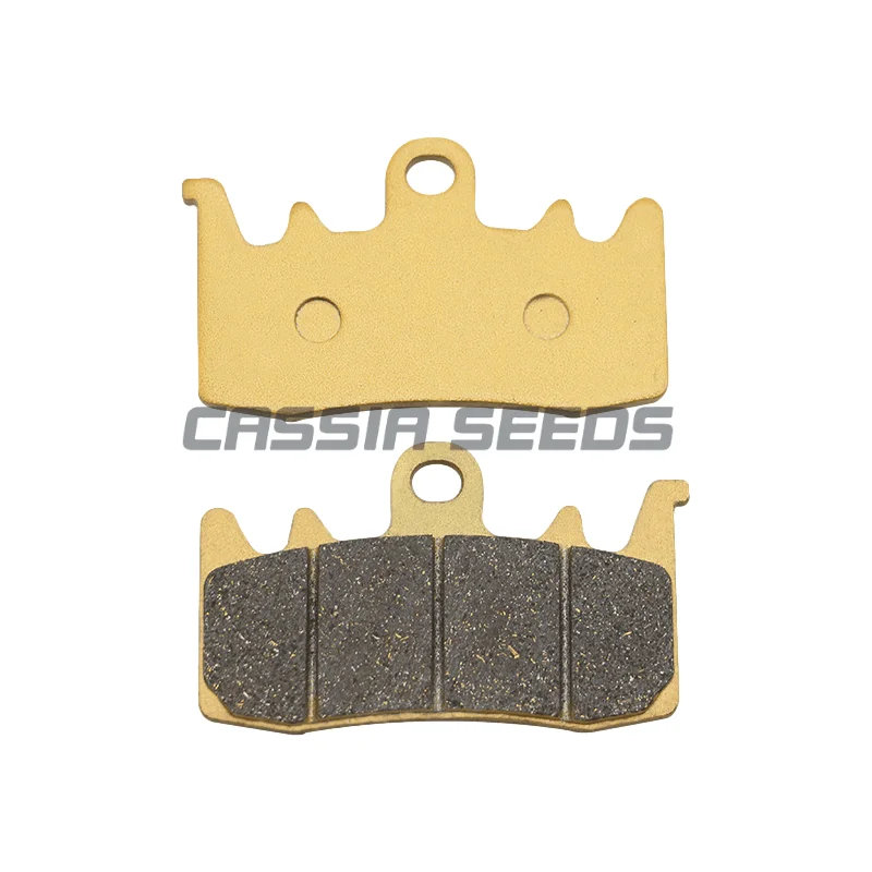 Motorcycle Front and Rear Brake Pads for Ducati 803 Spoiler Icon Street Classic Urban Enduro Flat Track 2015-2021