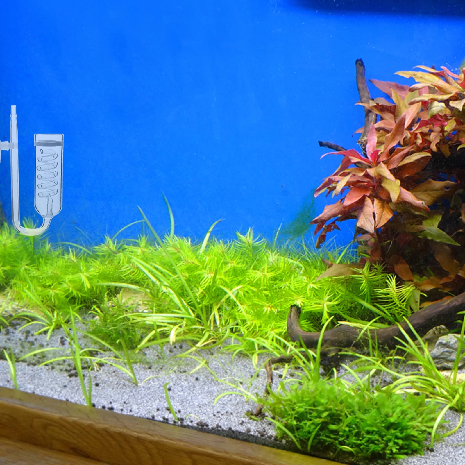 

1Set High-Class Glass Co2 Diffuser Aquarium Carbon Dioxide Compact Size Easy Install Fish Tank Glass Co2 Diffuser