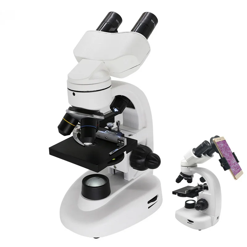 40X~1600X Microscópio Biológico Iluminado Óptico com Suporte Binóculo 360 °   Ferramentas de laboratório de microscópio de cabeça rotativa