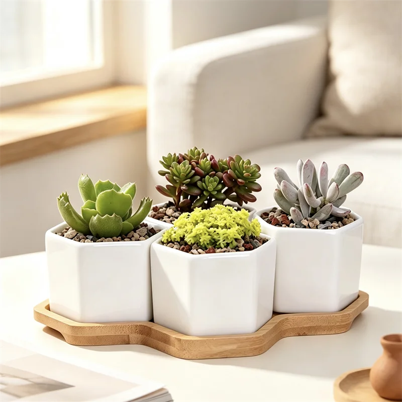 Small White Hexagon Ceramic Succulent Planter Pots Set with Bamboo Tray Mini Plant Pot for Desktop Home Office Garden Decor