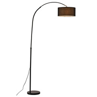 Floor Lamp Height Adjustable Versatile and Elegant Lighting For Living Room And Bedroom Three-color Light Stable Base Arc Lamp