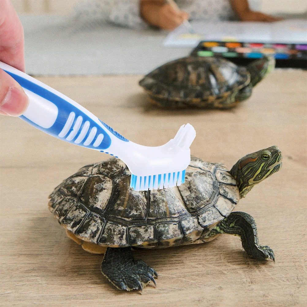 2 Pcs Turtle Shell Cleaning Brush Reviews Household Mud Dirt Remover Multifunction Durable Creative Brace Plastic Supplies