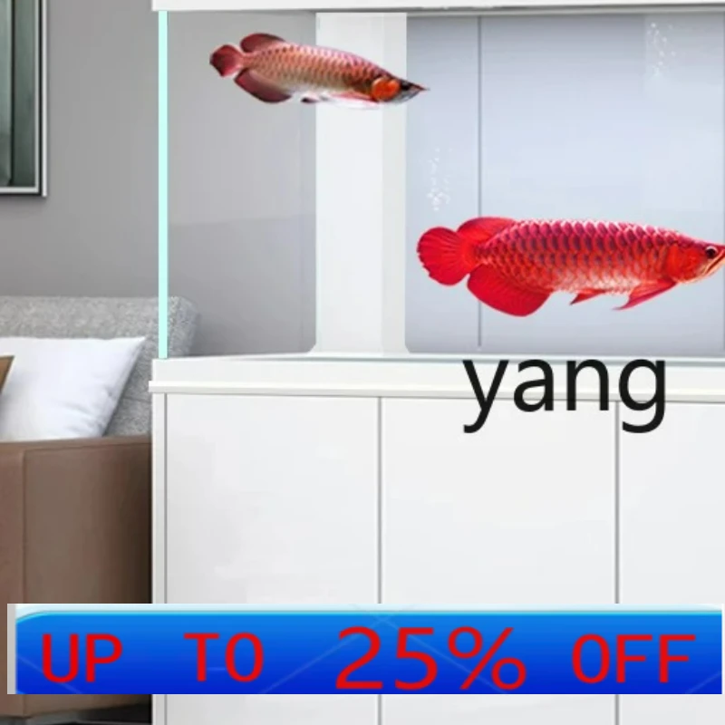 

CX aquarium bottom filter living room large sea dragon home office water-free ultra-white tank