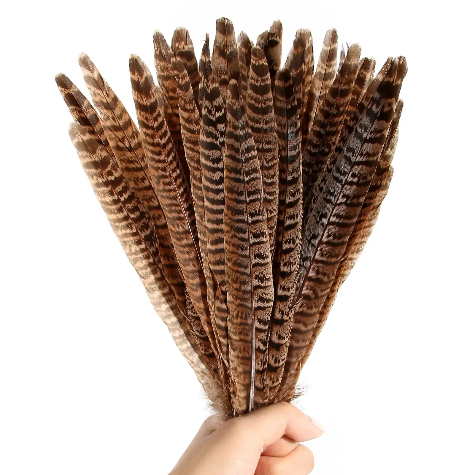 

10pcs 25-30cm Natural Hen Pheasant Tail Feathers Beautiful Lovely Plumes Diy Headdress Festivals Creative Jewelry Handicraft