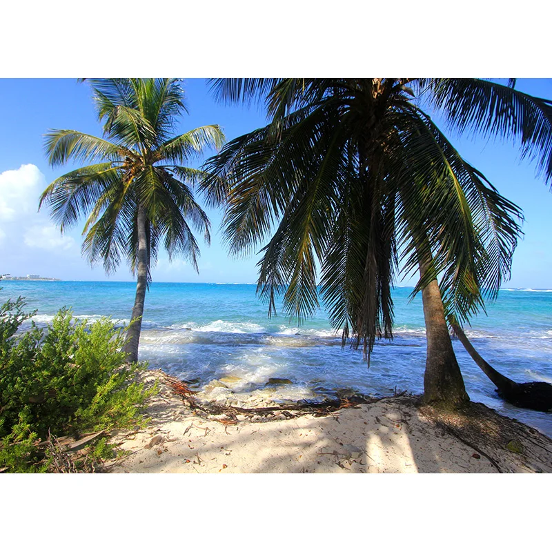 Zomer Tropische Zee Strand Palmen Boom Fotografie Achtergrond Natuurlijke Schilderachtige Foto Achtergronden Fotostudio Props 2133 HHB-02