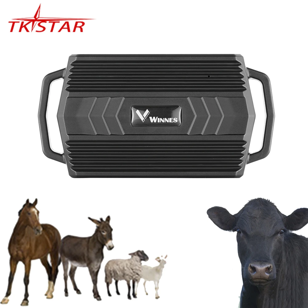 global 2G/4G TKSTAR 3000mAh TK935 Mini GPS Tracker AGPS PC/Phone Waterproof vehicle/Animal Livestock GSM/GPRS LBS Positioning